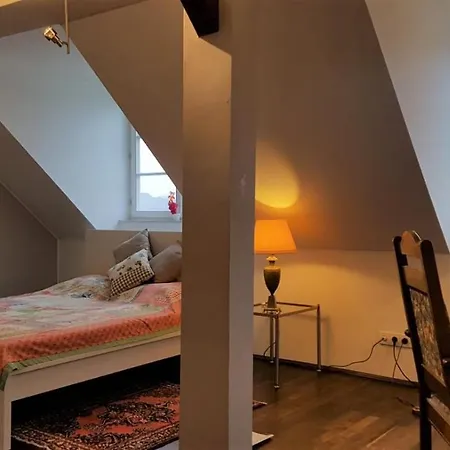 Penthouse Mit Bad Em2024 Hospitality Package 3* Кёнигштайн (Таунус)